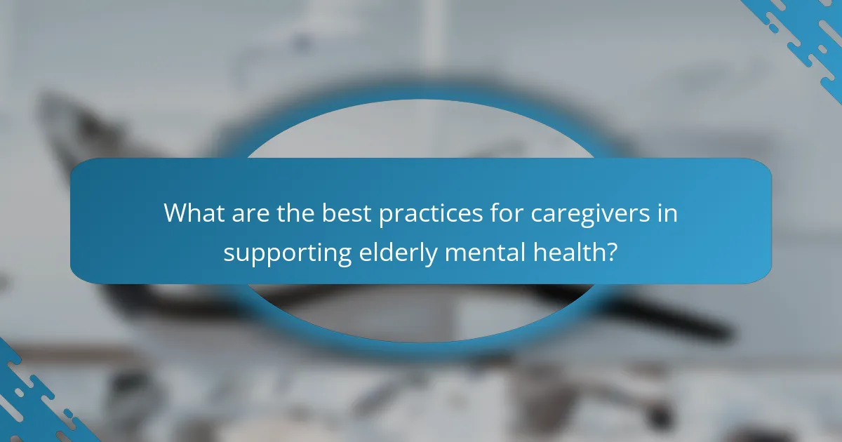 What are the best practices for caregivers in supporting elderly mental health?