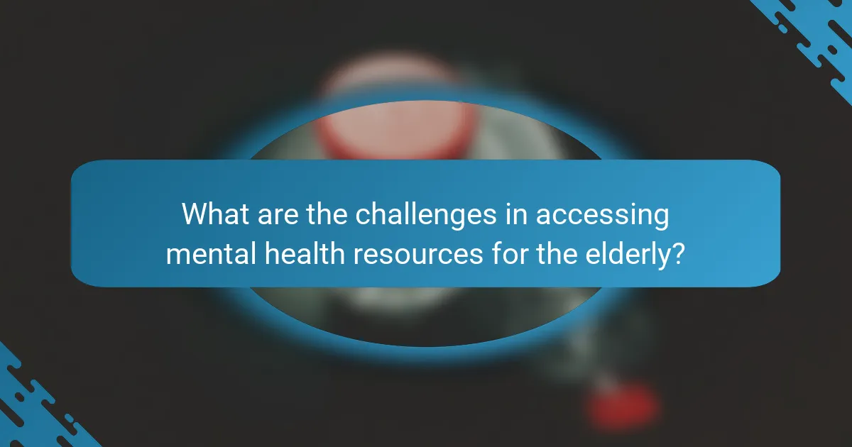 What are the challenges in accessing mental health resources for the elderly?
