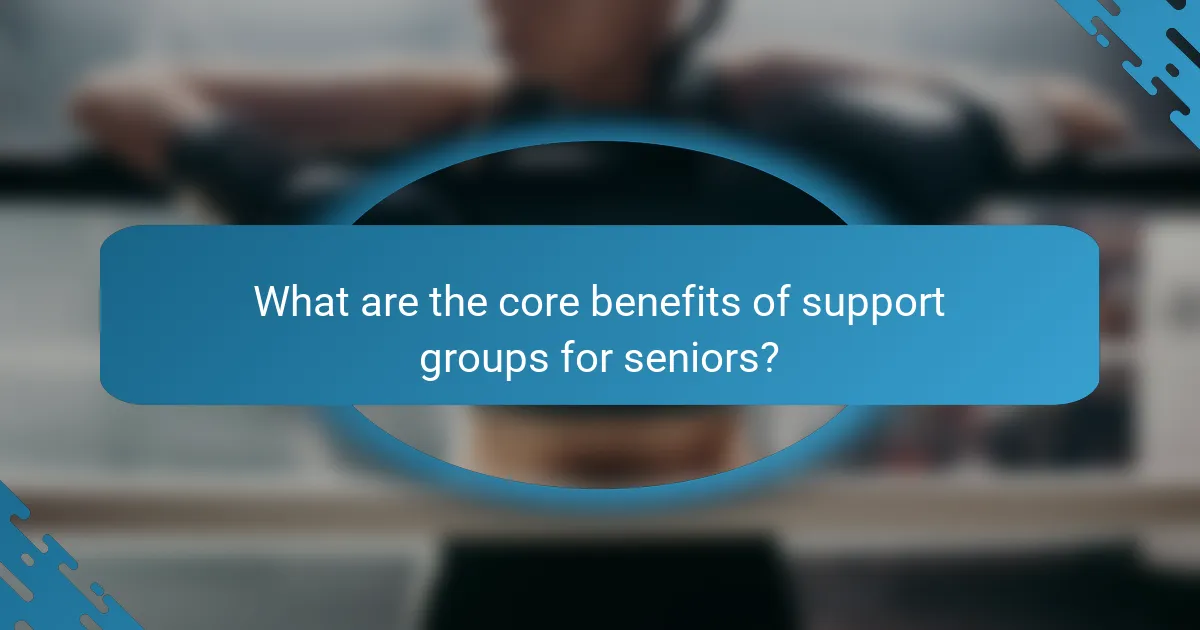 What are the core benefits of support groups for seniors?
