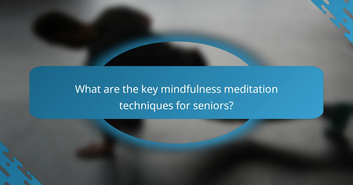 What are the key mindfulness meditation techniques for seniors?