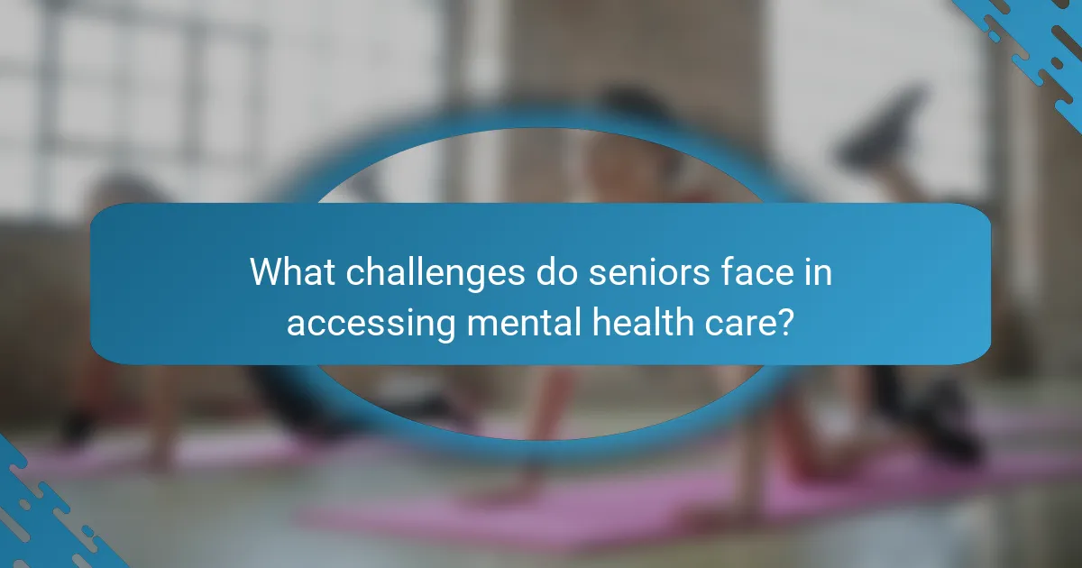 What challenges do seniors face in accessing mental health care?
