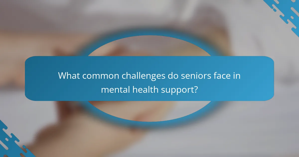 What common challenges do seniors face in mental health support?