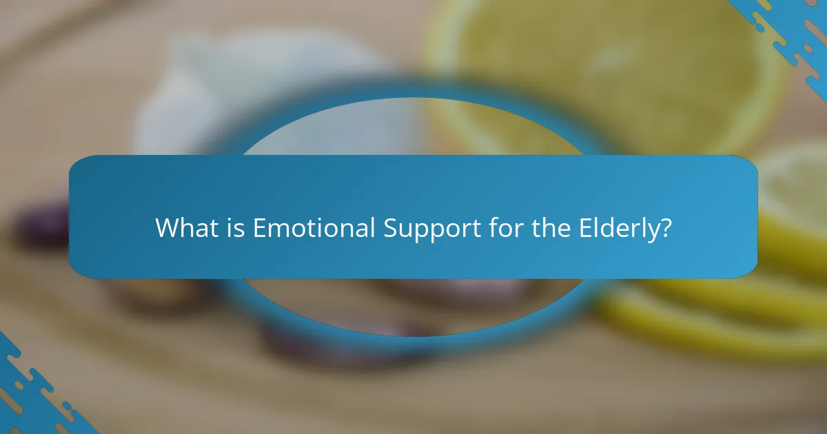 What is Emotional Support for the Elderly?