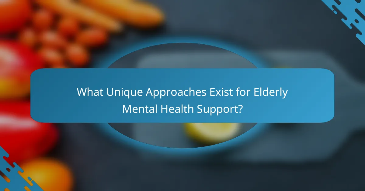 What Unique Approaches Exist for Elderly Mental Health Support?