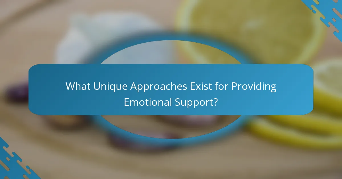 What Unique Approaches Exist for Providing Emotional Support?