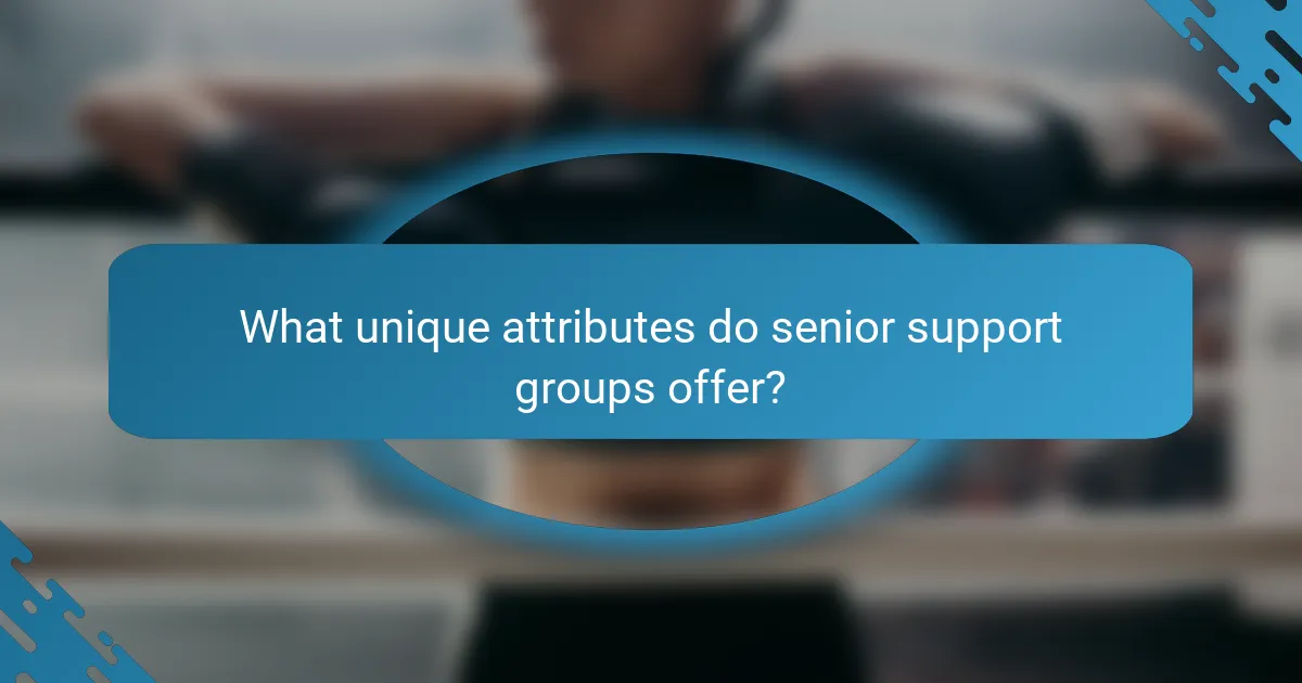 What unique attributes do senior support groups offer?
